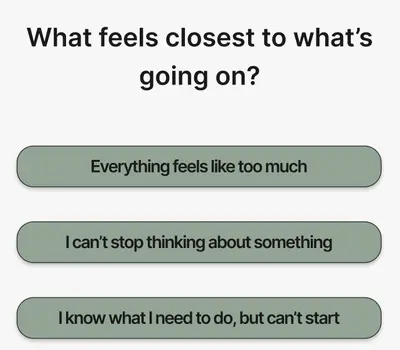Anchor check-in asking what feels closest to what is going on, with three sage green choices such as Everything feels like too much